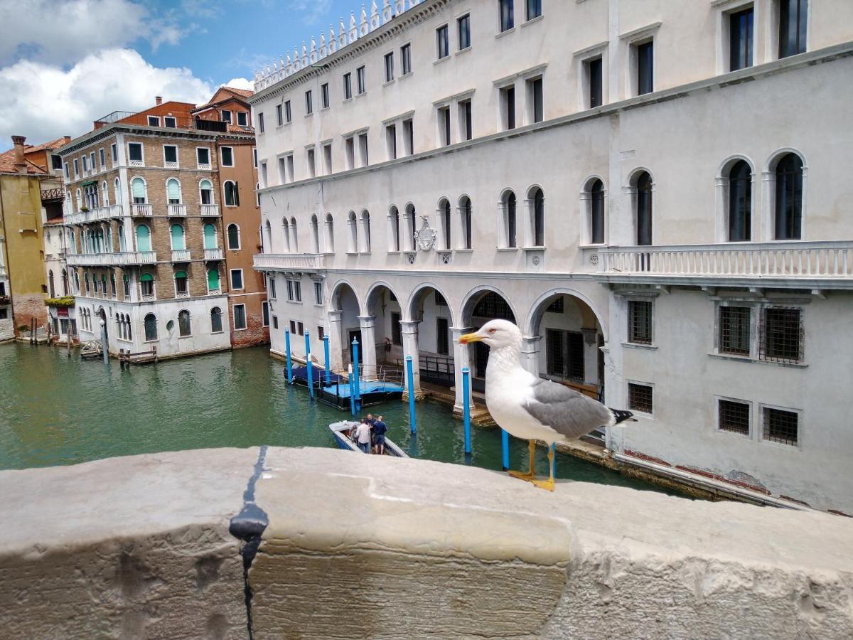 Love Island Venezia Esterno foto